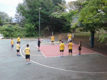 basket11