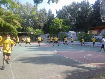 basket7