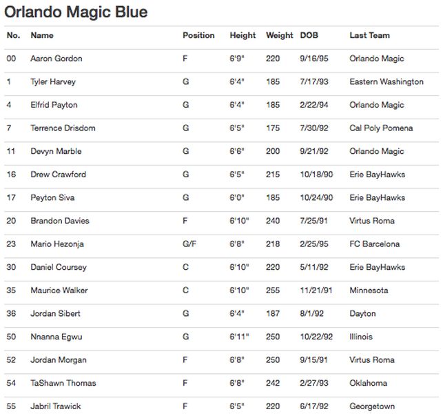 summer_league_rosters__5