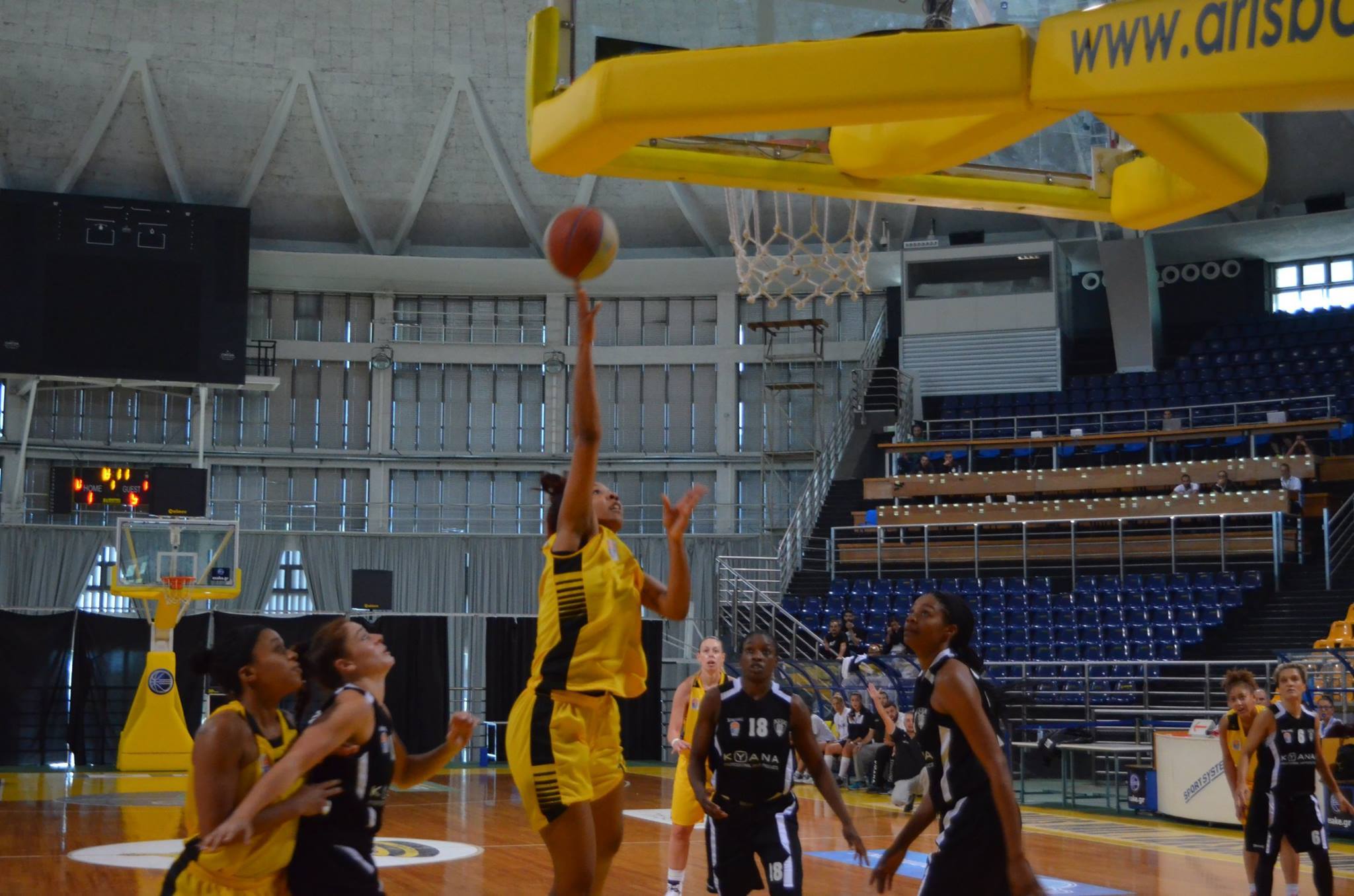 basket_gyn6